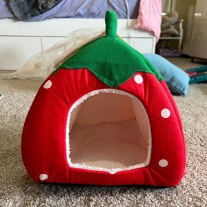 Small Pet Strawberry Bed